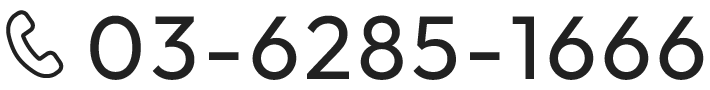 03-6285-1666
